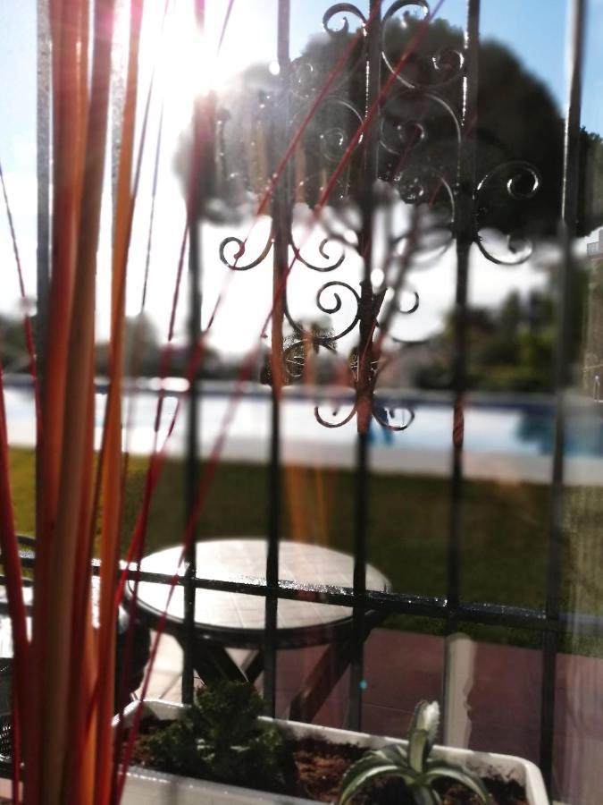 Apartment Verdemar With Sea View&garden